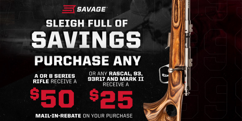 Rebate: Sleigh Full of Savings